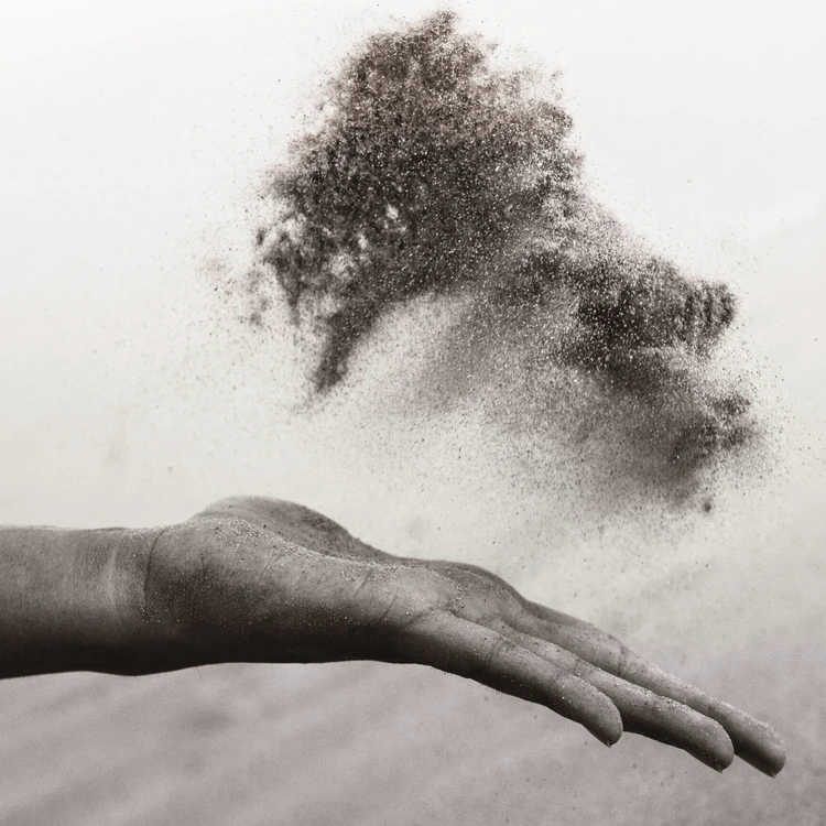 immagine sostenibilità