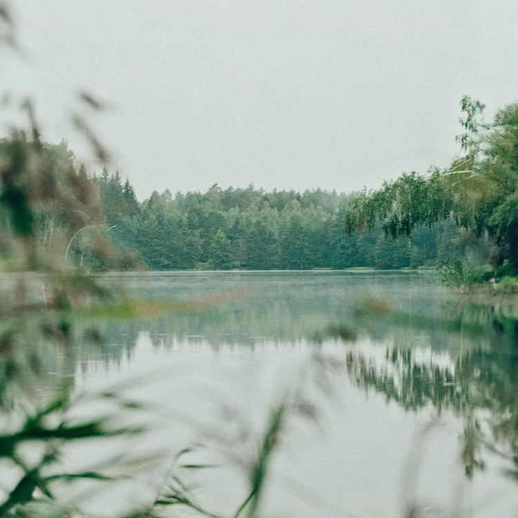 Collezione GRACEWOOD