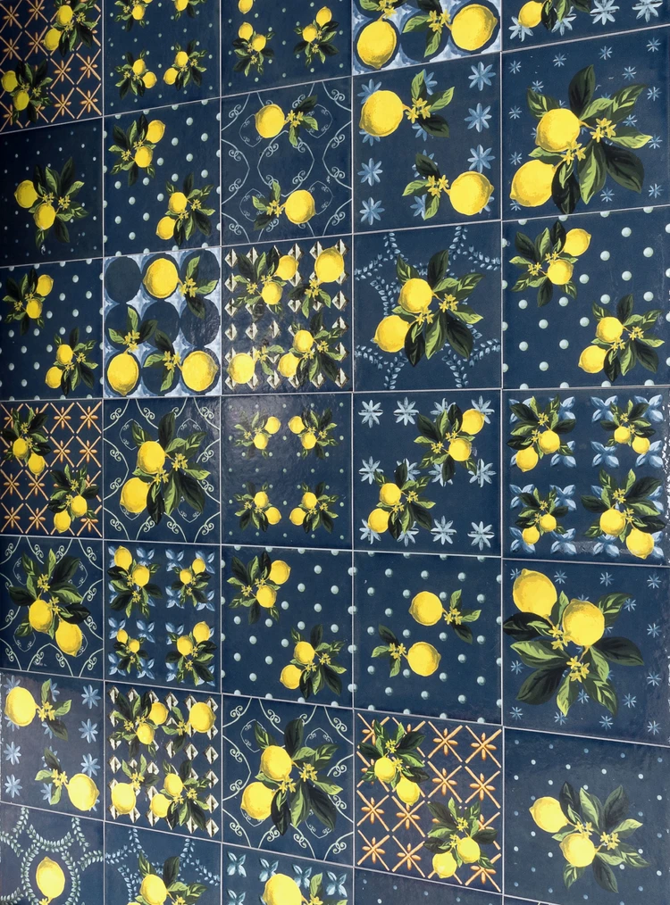 VITA Giardino Blu Mix