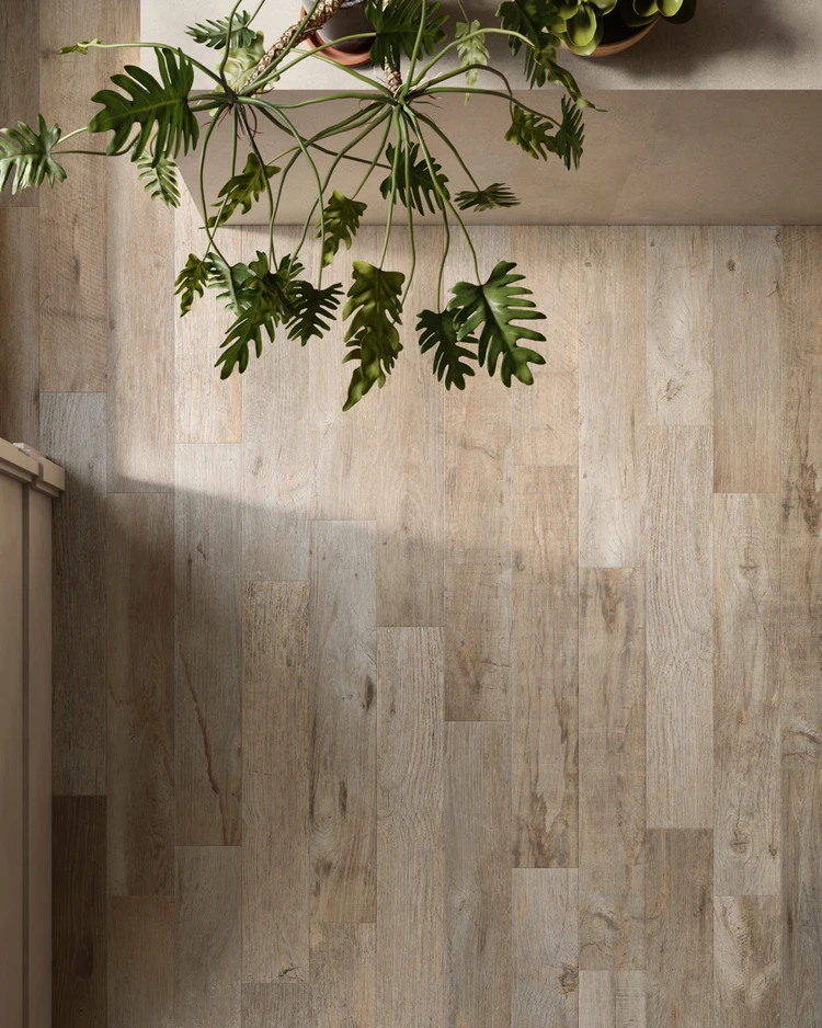 Immagine Yorkwood 21