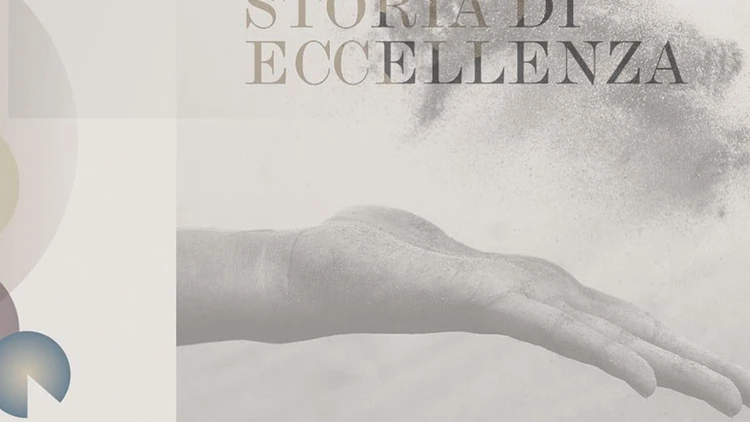 Detailed description of the picture